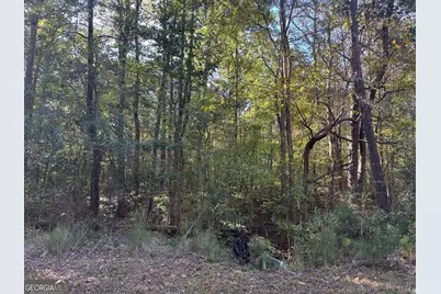 1516 Stark Road, Jackson, GA 30233 - Photo 28