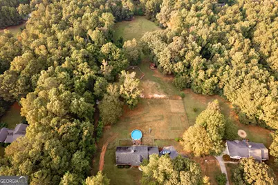 295 Hillview Road, Hampton, GA 30228 - Photo 54