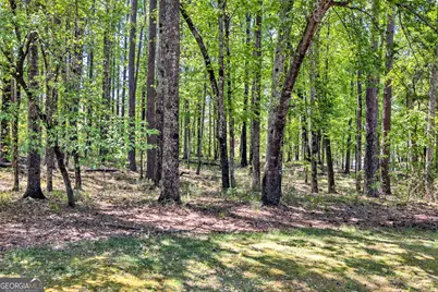 1010 Troon Court, Greensboro, GA 30642 - Photo 8