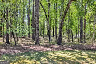 1010 Troon Ct, Greensboro, GA 30642 - Photo 8