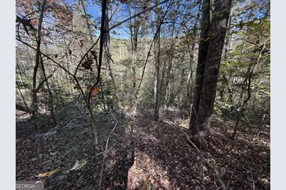 0 Heritage Way, Ellijay, GA 30540 - Photo 26