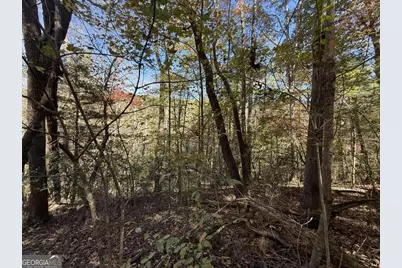 0 Heritage Way, Ellijay, GA 30540 - Photo 4