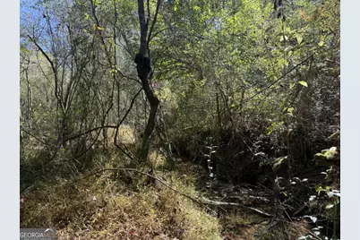 0 Heritage Way, Ellijay, GA 30540 - Photo 14