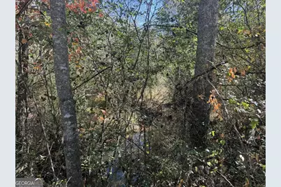 0 Heritage Way, Ellijay, GA 30540 - Photo 10