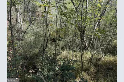 0 Heritage Way, Ellijay, GA 30540 - Photo 18