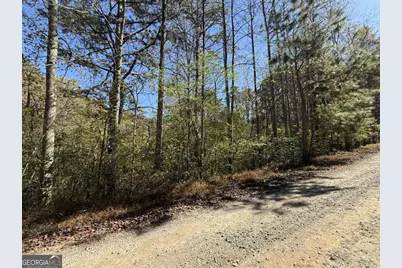 0 Heritage Way, Ellijay, GA 30540 - Photo 20