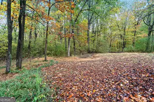 207 Squirrel Ave, Cohutta, GA 30710 - Photo 32