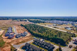 1006 Trichur Rd, Statham, GA 30666 - Photo 62