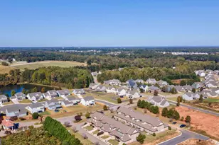 1006 Trichur Rd, Statham, GA 30666 - Photo 64