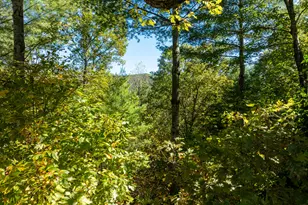 345 Zion Hill Rd, Ellijay, GA 30540 - Photo 36