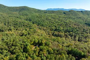 345 Zion Hill Rd, Ellijay, GA 30540 - Photo 42