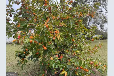 509 Lakeview Drive, Dexter, GA 31019 - Photo 38