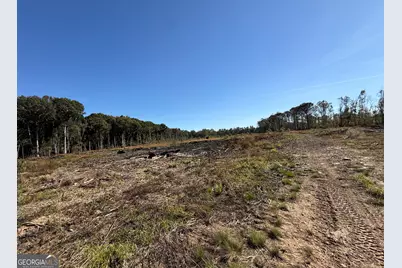 0 Newington Hwy, Sylvania, GA 30467 - Photo 22