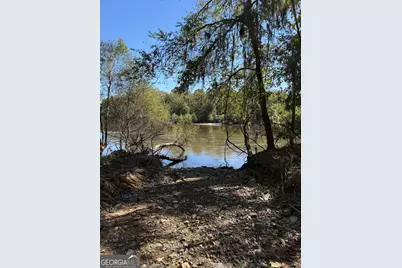 0 Newington Hwy, Sylvania, GA 30467 - Photo 28