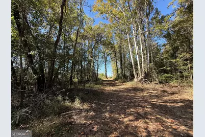 0 Newington Hwy, Sylvania, GA 30467 - Photo 26