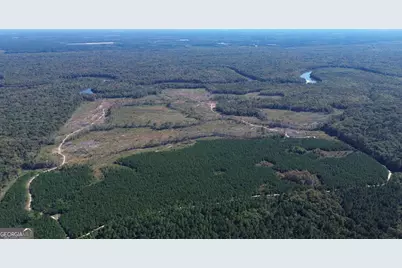 0 Newington Hwy, Sylvania, GA 30467 - Photo 8