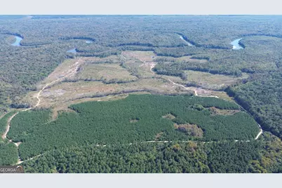 0 Newington Hwy, Sylvania, GA 30467 - Photo 10