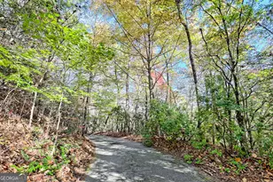 49 Richmond Ln, Lakemont, GA 30552 - Photo 94