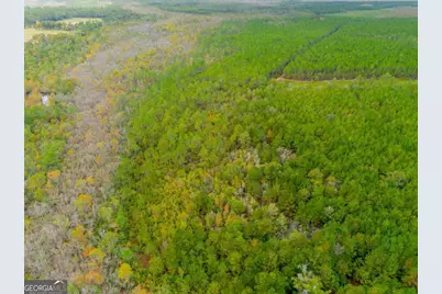 1690 Smith Road, Waycross, GA 31503 - Photo 22