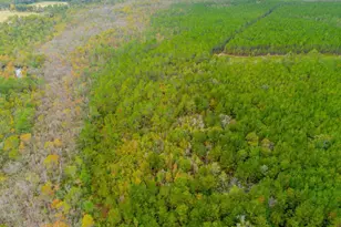 1690 Smith Rd, Waycross, GA 31503 - Photo 22