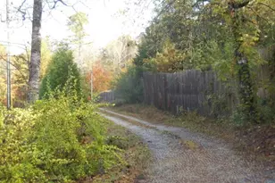 280 Stonebank Rd, Clarkesville, GA 30523 - Photo 2