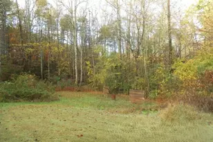 280 Stonebank Rd, Clarkesville, GA 30523 - Photo 8