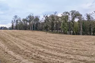 1101 Shockley Rd, Madison, GA 30650 - Photo 78