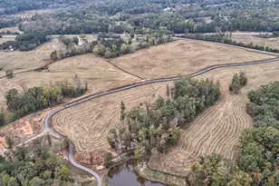 1101 Shockley Rd, Madison, GA 30650 - Photo 72