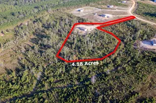 44 Long Leaf Rd, Hazlehurst, GA 31539 - Photo 4