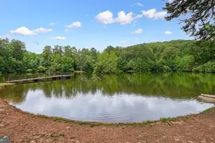 454 Mountain View Ln, Woodstock, GA 30188 - Photo 50