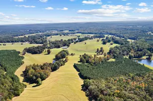 5225 Chalybeate Springs Rd, Woodland, GA 31836 - Photo 12