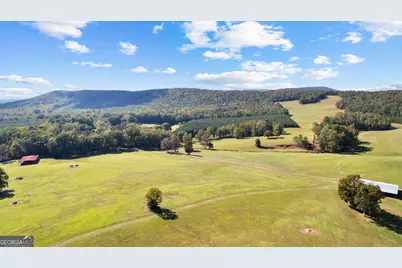 5225 Chalybeate Springs Road, Woodland, GA 31836 - Photo 34