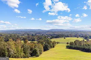 5225 Chalybeate Springs Rd, Woodland, GA 31836 - Photo 16