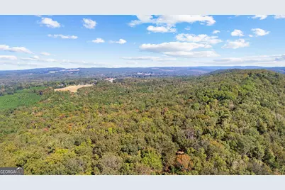 5225 Chalybeate Springs Road, Woodland, GA 31836 - Photo 14