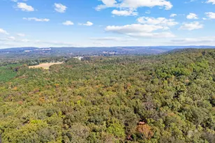 5225 Chalybeate Springs Rd, Woodland, GA 31836 - Photo 14