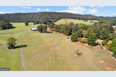 5225 Chalybeate Springs Road, Woodland, GA 31836 - Photo 24