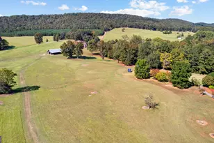 5225 Chalybeate Springs Rd, Woodland, GA 31836 - Photo 24