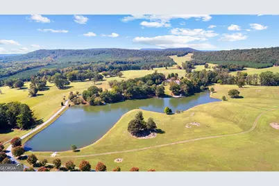 5225 Chalybeate Springs Road, Woodland, GA 31836 - Photo 18