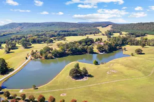 5225 Chalybeate Springs Rd, Woodland, GA 31836 - Photo 18