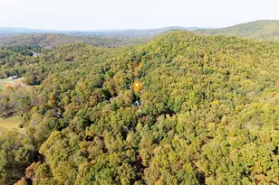 75 Covered Brg Trl, Blairsville, GA 30512 - Photo 50