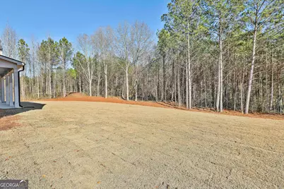 757 Alex Stephens Road #LOT 5, Moreland, GA 30259 - Photo 44