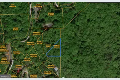 883 Rue Lane, Clayton, GA 30525 - Photo 1