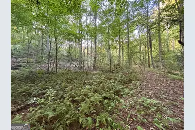 Lot 6 Mt Springer Road, Ellijay, GA 30540 - Photo 4
