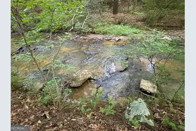 Lot 6 Mt Springer Road, Ellijay, GA 30540 - Photo 20