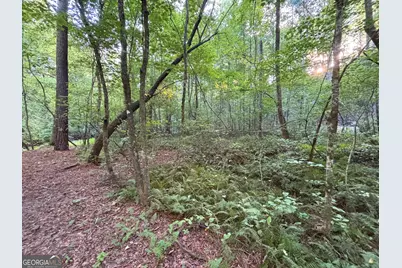 Lot 6 Mt Springer Road, Ellijay, GA 30540 - Photo 2