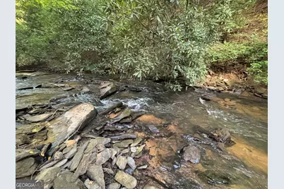 Lot 6 Mt Springer Road, Ellijay, GA 30540 - Photo 18