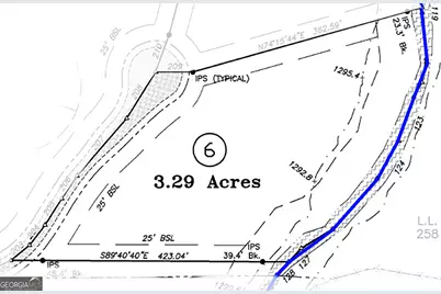 Lot 6 Mt Springer Road, Ellijay, GA 30540 - Photo 34