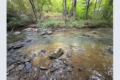 Lot 6 Mt Springer Road, Ellijay, GA 30540 - Photo 28