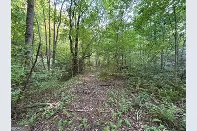 Lot 6 Mt Springer Road, Ellijay, GA 30540 - Photo 14