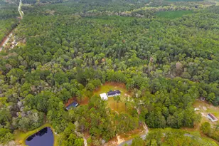 147 Creek Ridge Rd, Claxton, GA 30417 - Photo 28